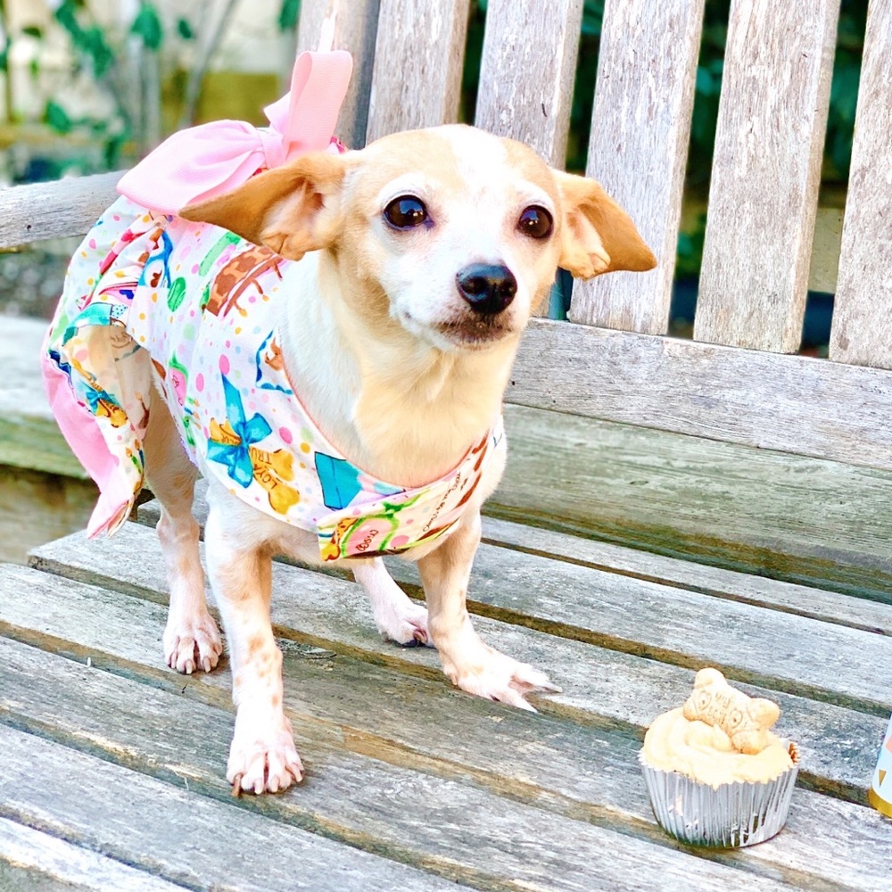 Meet your Posher, Julia